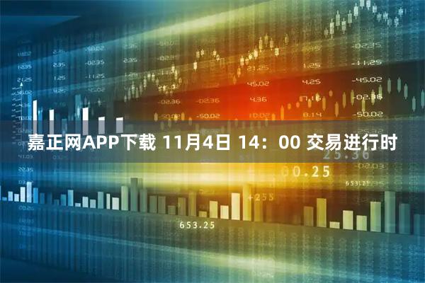 嘉正网APP下载 11月4日 14：00 交易进行时