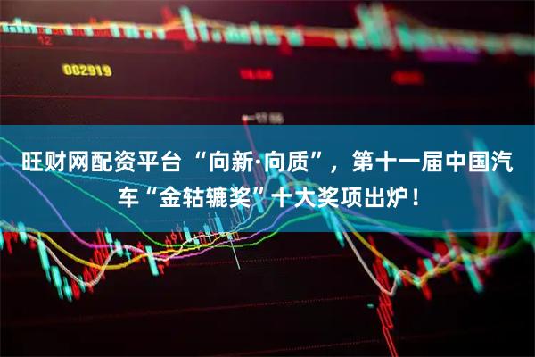 旺财网配资平台 “向新·向质”，第十一届中国汽车“金轱辘奖”十大奖项出炉！