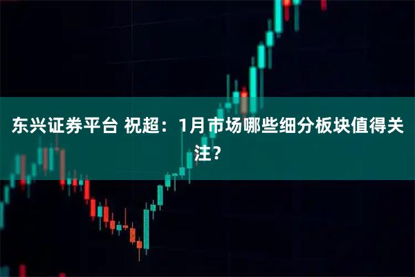 东兴证券平台 祝超：1月市场哪些细分板块值得关注？